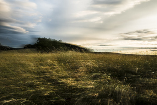 wind